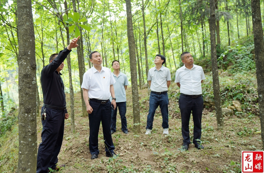 周胜益到农车镇调研