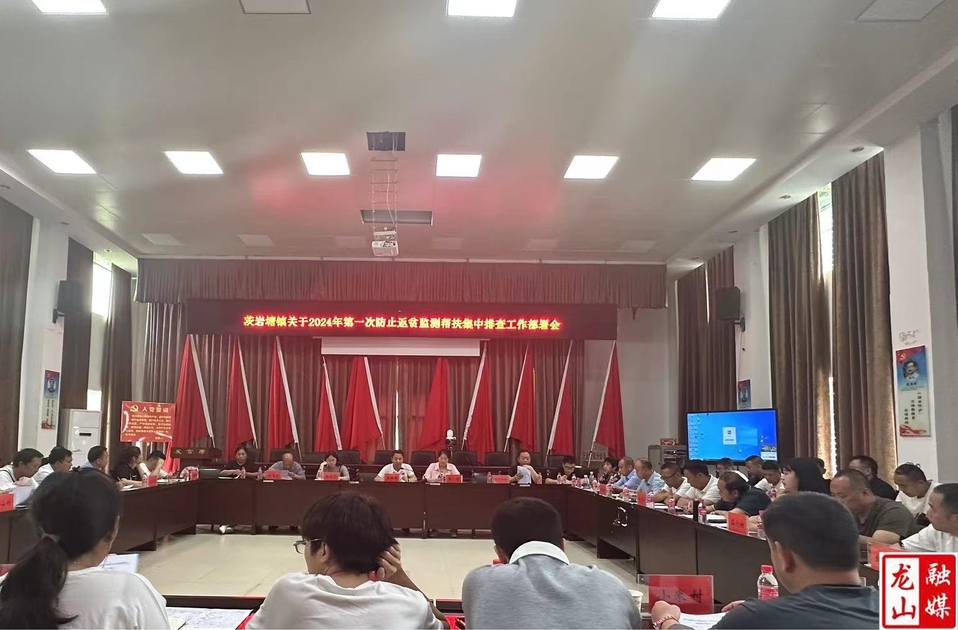 茨岩塘镇开展防止返贫监测帮扶集中排查工作部署会