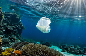 环境部：我国已成功淘汰29种类持久性有机污染物