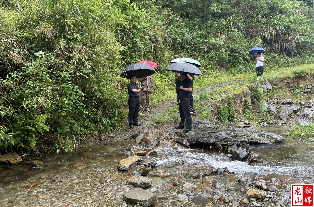 田世忠到水田坝镇调研民生实事项目建设工作