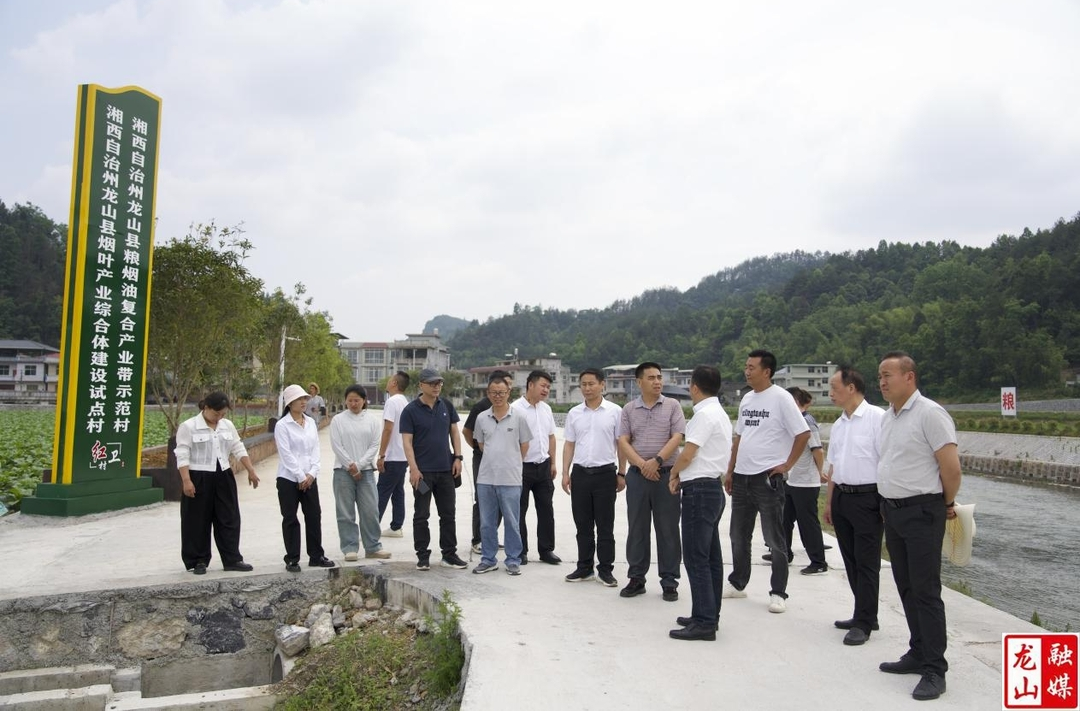 州人大常委会副主任胡恩平来县调研基层联络站建设工作