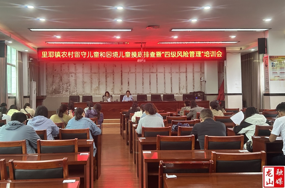 里耶镇社工站启动“四级风险管理”培训