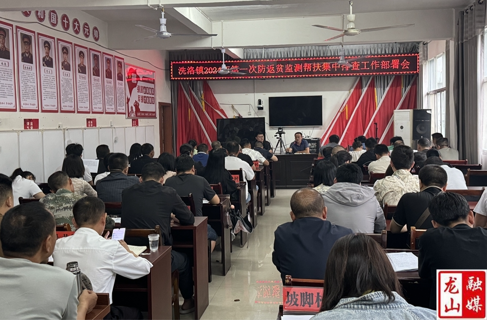 洗洛镇召开2024年防止返贫监测帮扶集中排查工作部署会