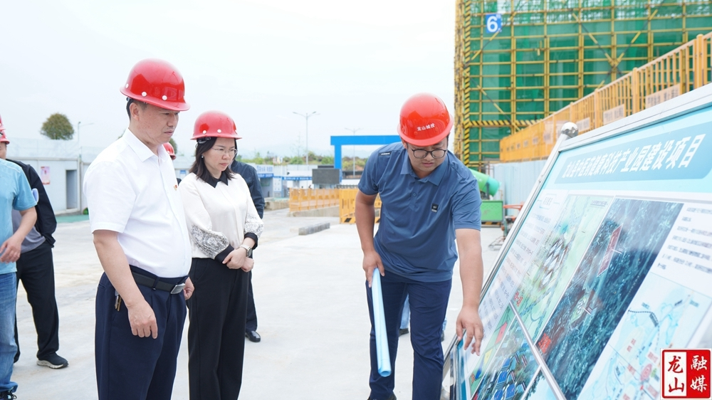 周胜益调研重点项目建设工作