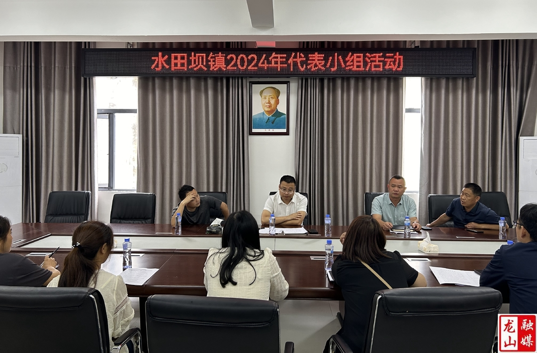 水田坝镇开展2024年人大代表小组活动