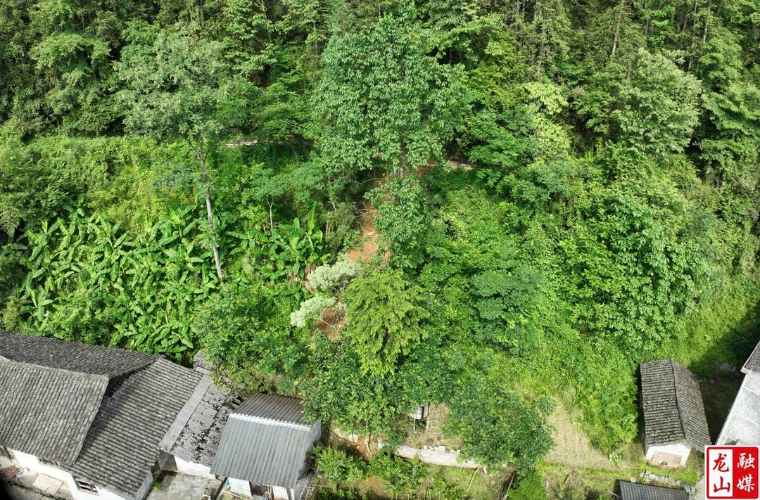 龙山县开展常态化地质灾害隐患排查