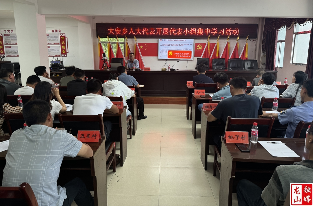 大安乡组织人大代表开展集中学习