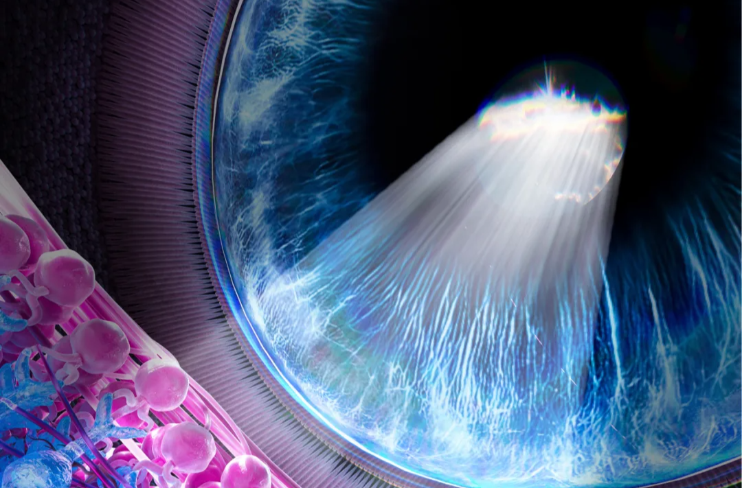 给眼睛装上太阳能，复旦大学专家团队让盲人重见光明