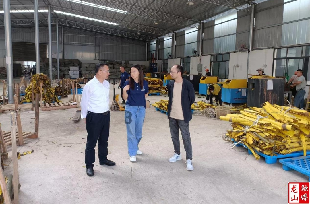 龙山县：帮扶“小车间”托起就业“大民生”