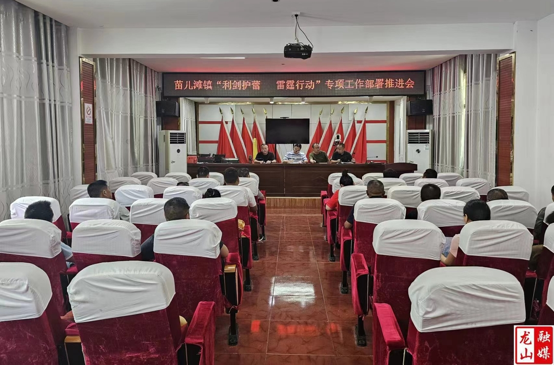 苗儿滩镇召开“利剑护蕾·雷霆行动”专项行动部署推进会