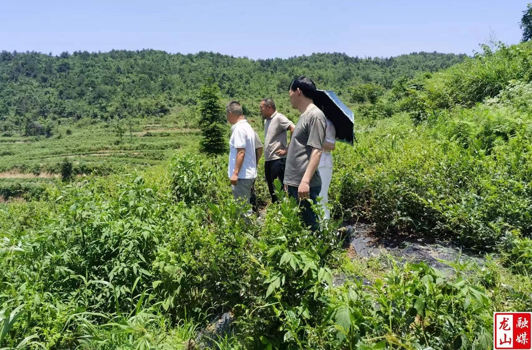 靛房镇帮扶工作队到水田坝镇考察学习
