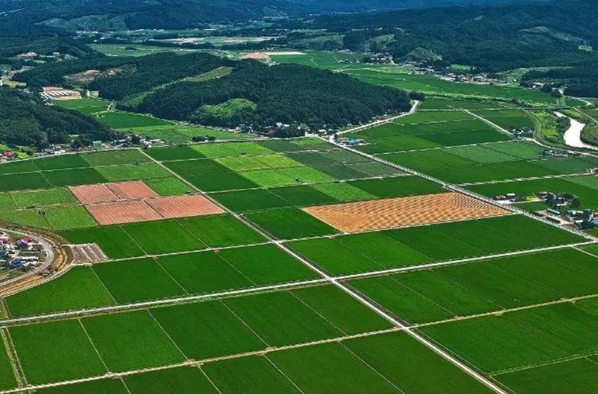 珍惜土地 湖南行动丨竖起“责任牌” 护好“饭碗田”