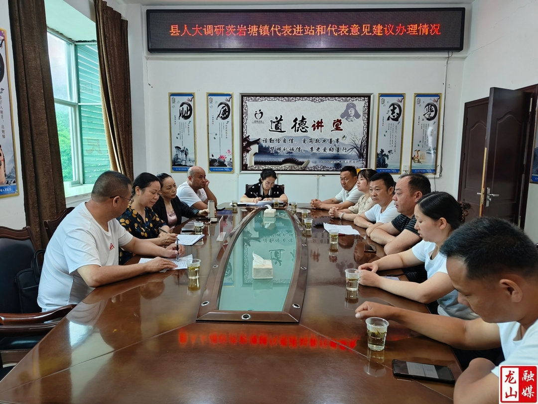 唐晓萍到茨岩塘镇调研代表进站和代表意见建议办理情况