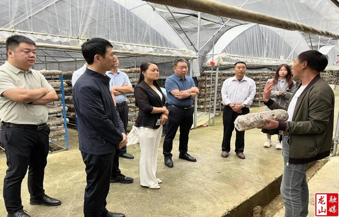 长沙市雨花区互联网行业在石牌镇开展“乡村振兴 e路同行”活动