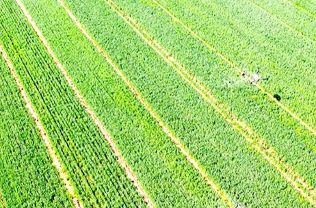 珍爱土地 湖南行动｜田长制直播间，创新耕地保护举措