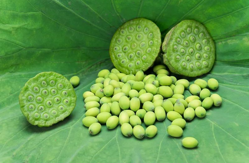 夏至养生，这几件事要做好！快快收藏