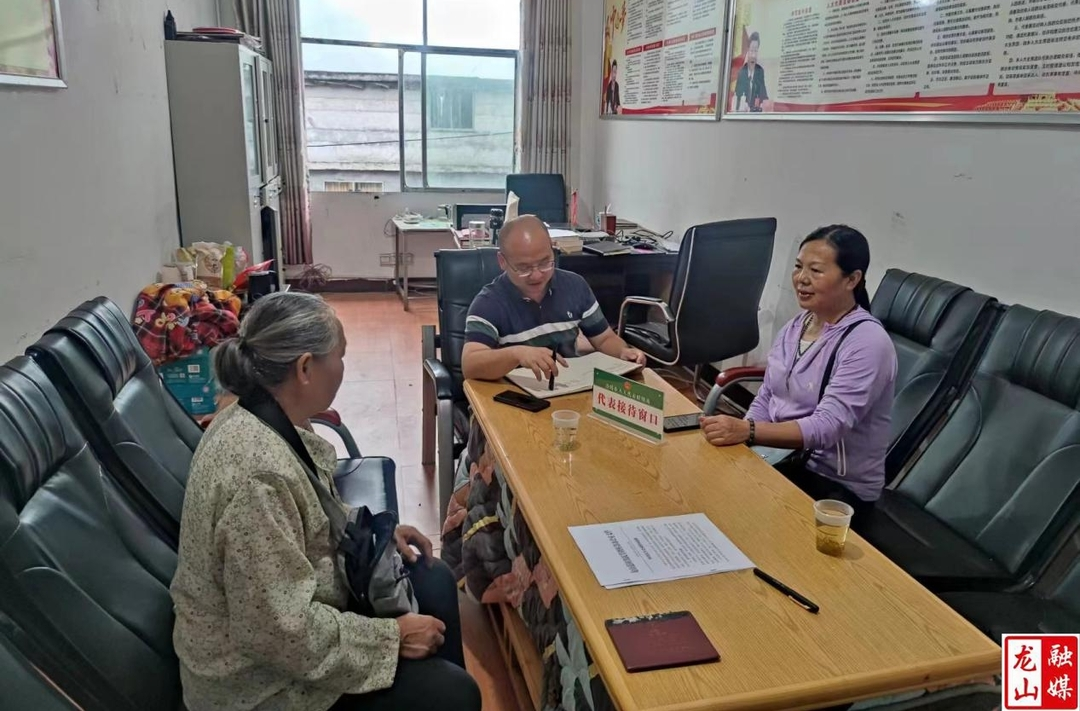 洛塔乡县人大代表开展入站接待群众活动