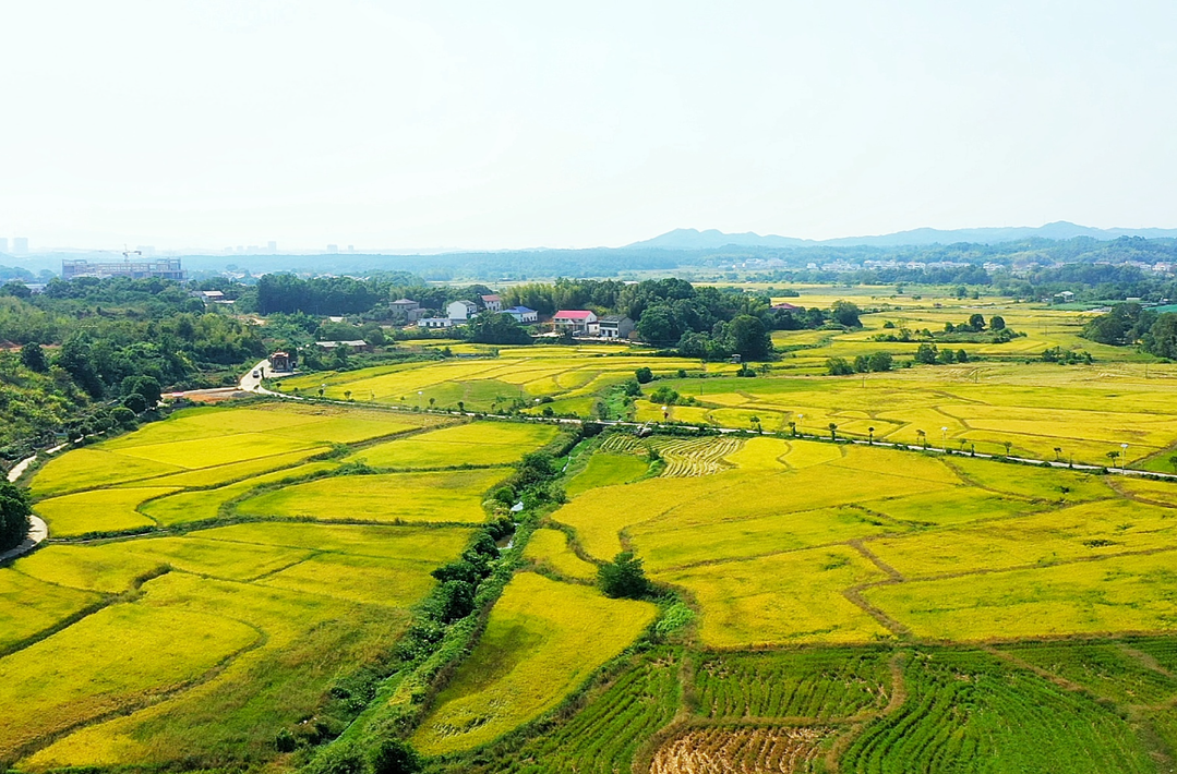 让每寸土地发挥最大效益 ——湖南节约集约用地不放松