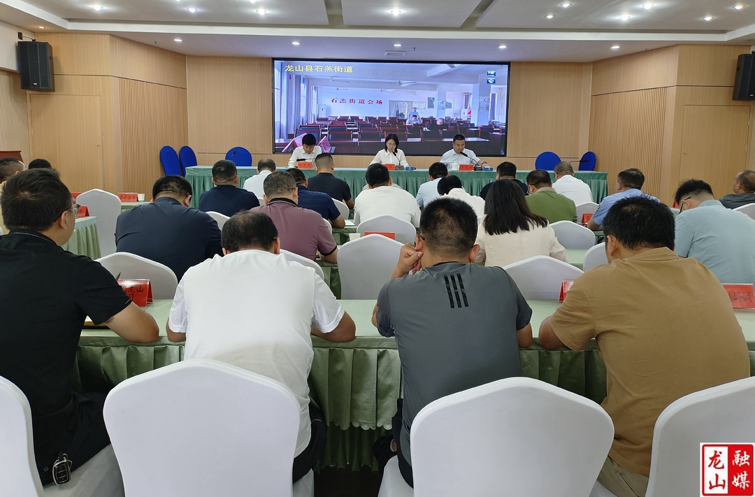 龙山县召开防汛抗灾工作推进会