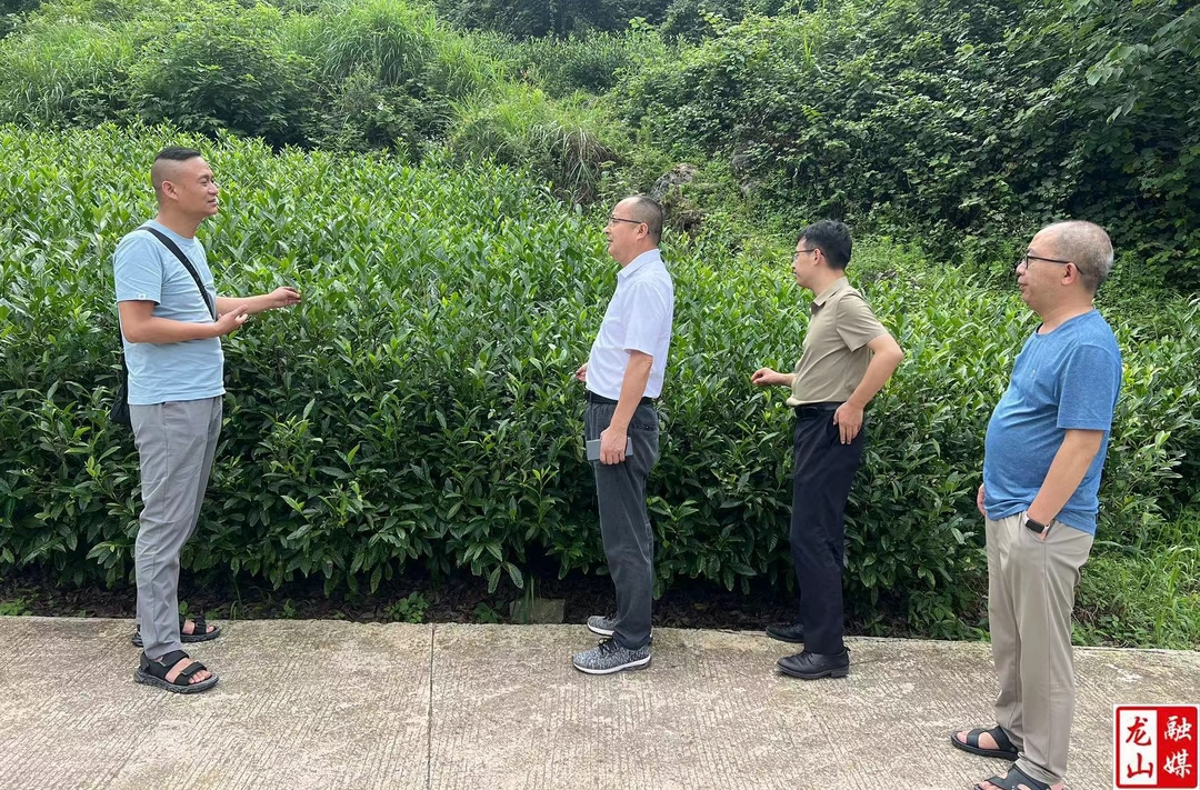 县自然资源局开展乡村振兴走访督查工作