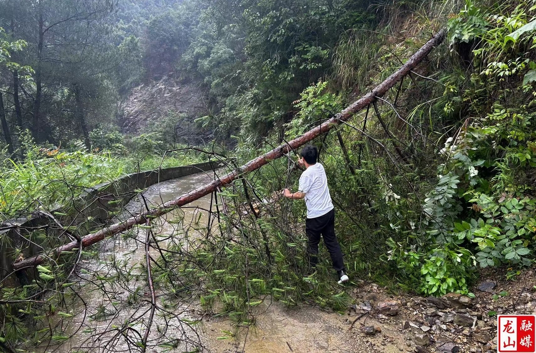里耶镇：“三长”携手筑牢防汛安全屏障