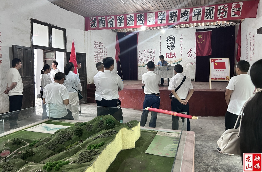 茅坪乡开展“庆七一”主题系列活动