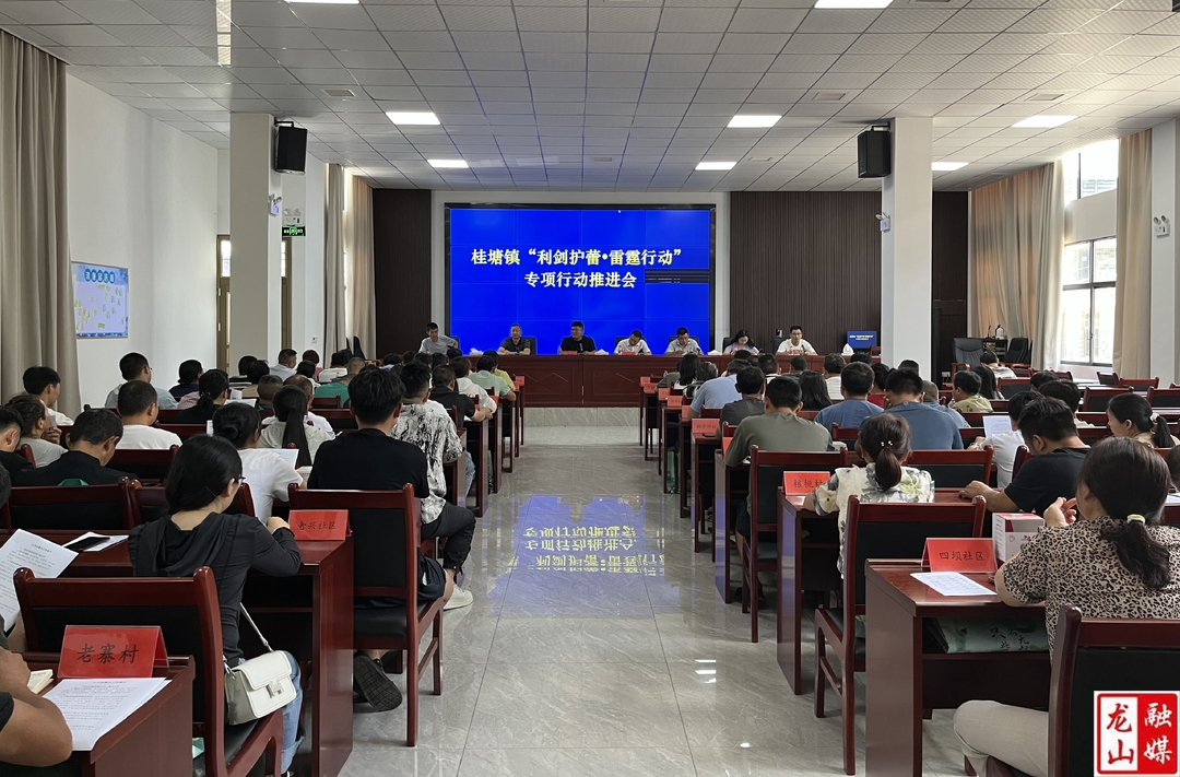 桂塘镇召开“利剑护蕾·雷霆行动” 专项行动推进会