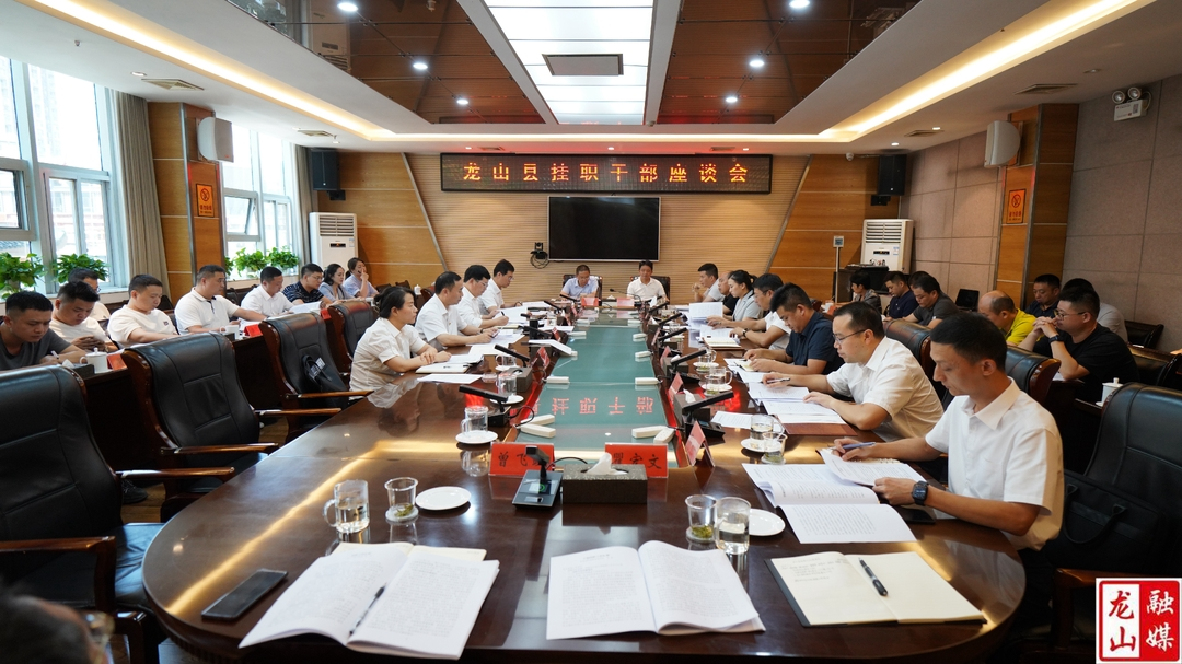 龙山县召开挂职干部座谈会