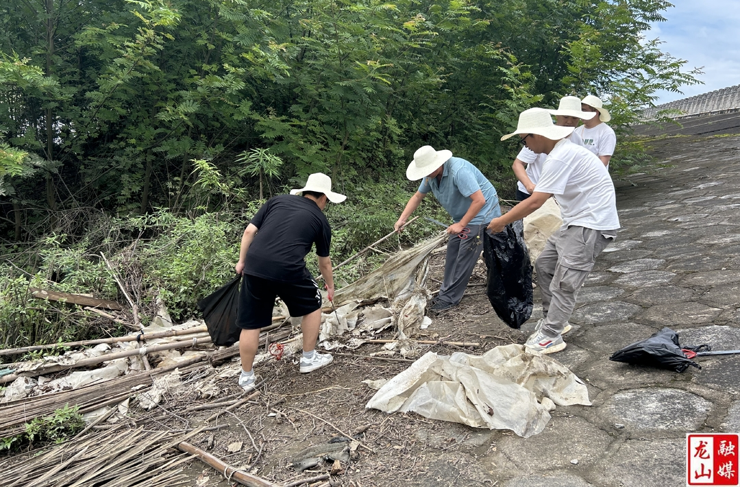 里耶镇新时代青年干部课堂开展“净滩护堤”行动