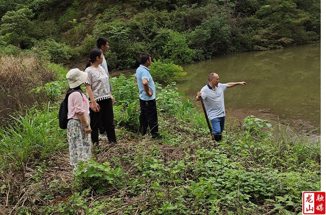 州水利局一行到古道溪牛飙尿山塘调研