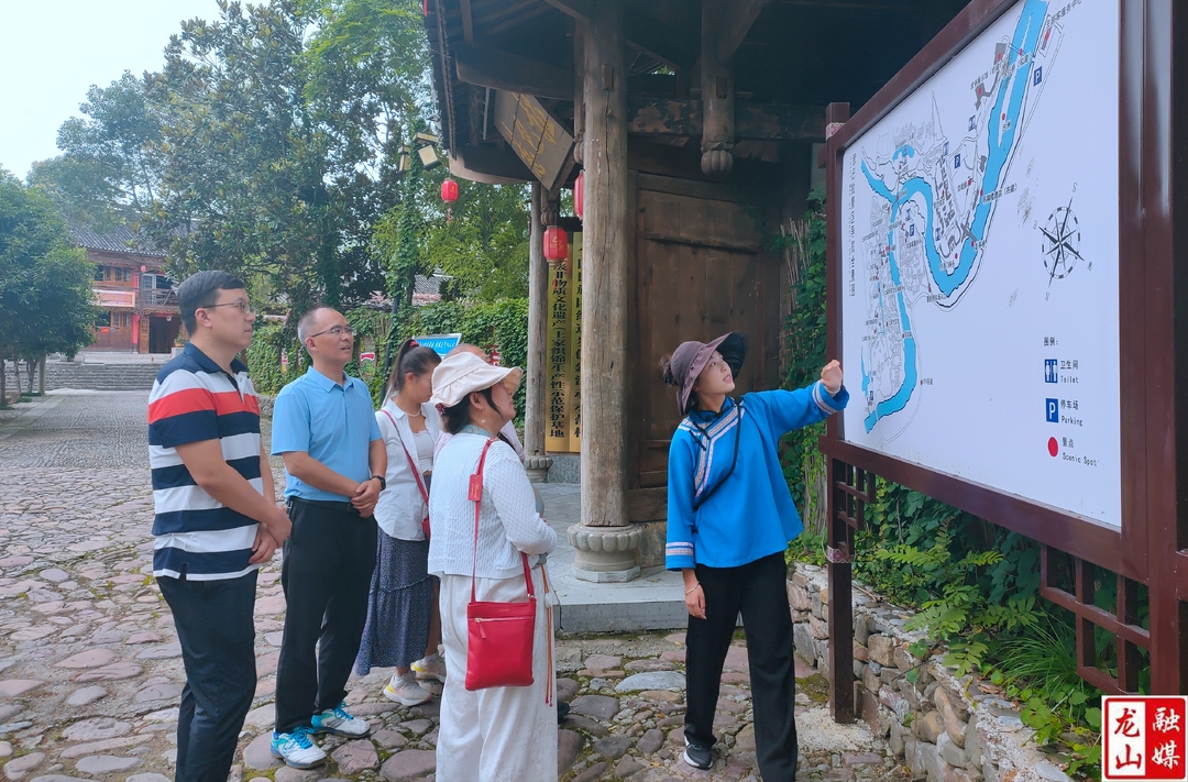 英国侨领王维群女士回乡考察