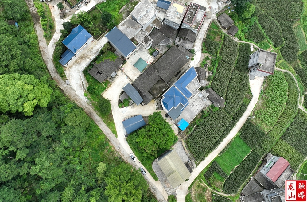 龙山税务驻靛房镇燎原社区工作队：想事、干事、干成事