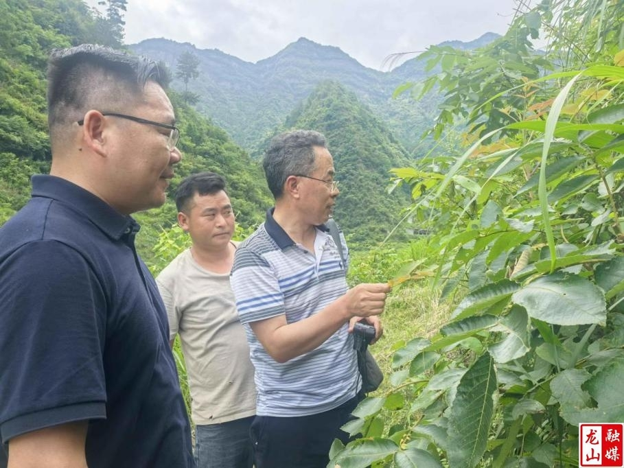 科技特派员赋能乡村特色产业“大步走”