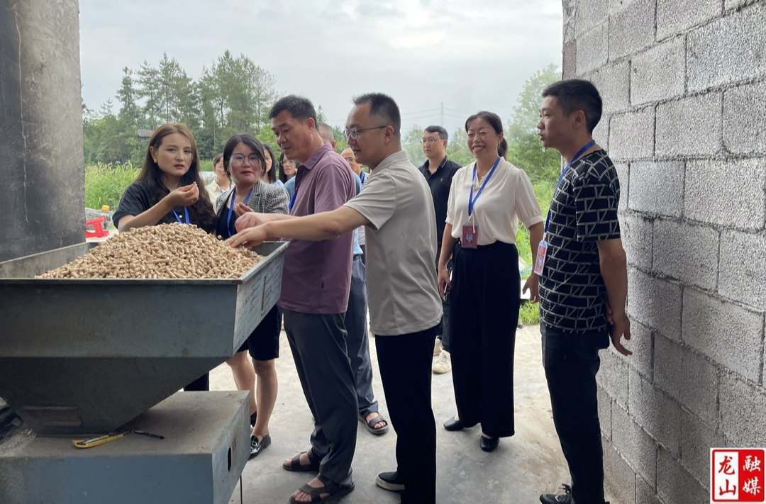 石羔街道开展执法检查 助力大气污染防治