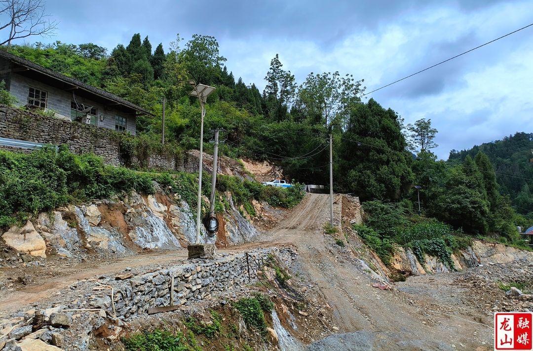 农车镇纸厂村：捐资共建振兴路 乡邻情谊暖人心