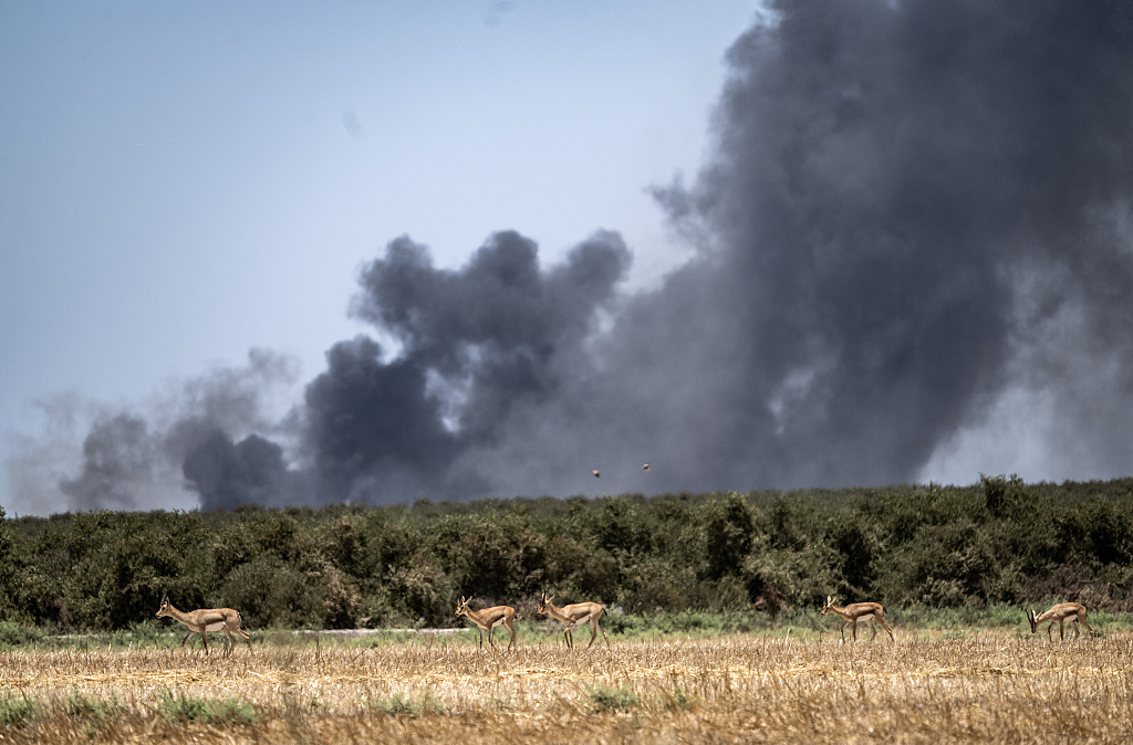 加沙停火协议四方会谈就部分问题达成一致，11日将继续进行