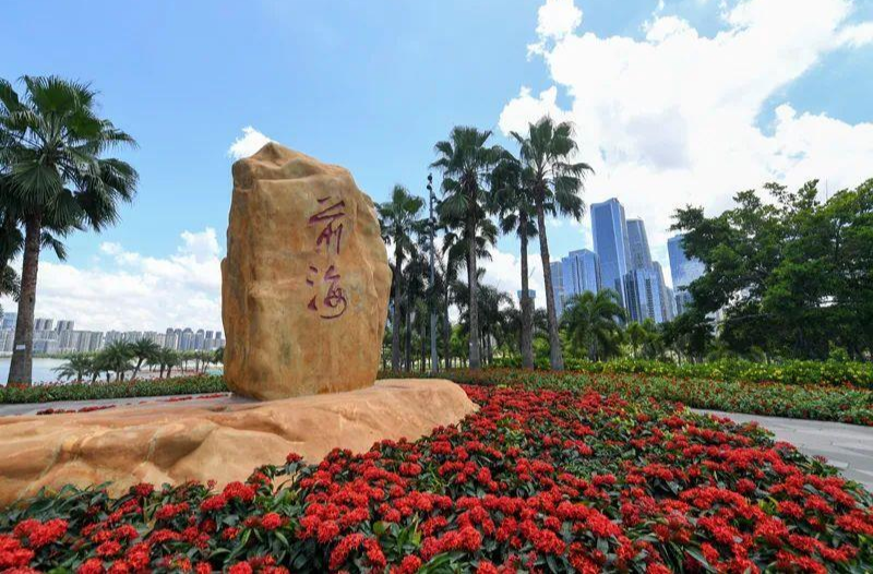 时政微观察丨惟改革创新者胜