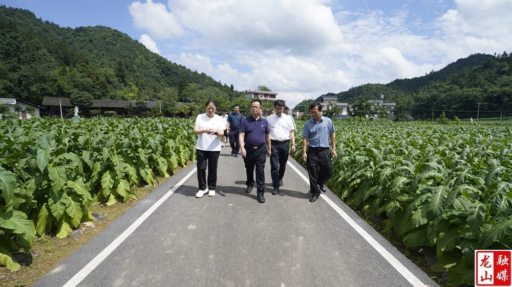 罗缵吉到龙山县调研乡村振兴对口帮扶工作