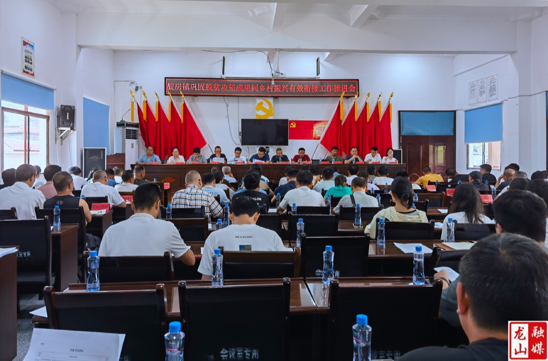 靛房镇召开乡村振兴大走访、大排查、大整改工作动员会