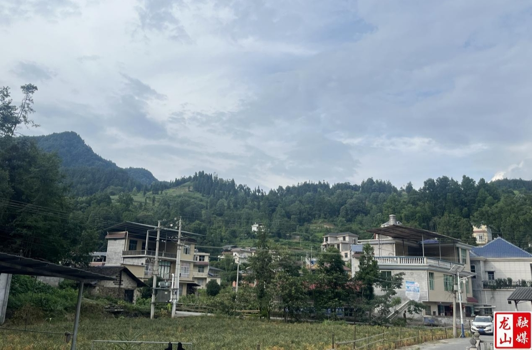 龙山县玉河村绘就乡村振兴新画卷小记