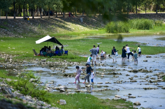 中青报：明火烧烤、乱扔垃圾，野外露营如何避免不文明行为