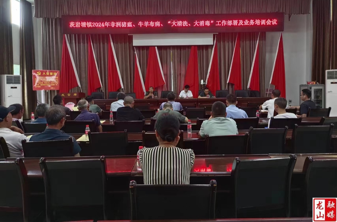 茨岩塘镇召开“大清洗大消毒”工作部署及业务培训会议