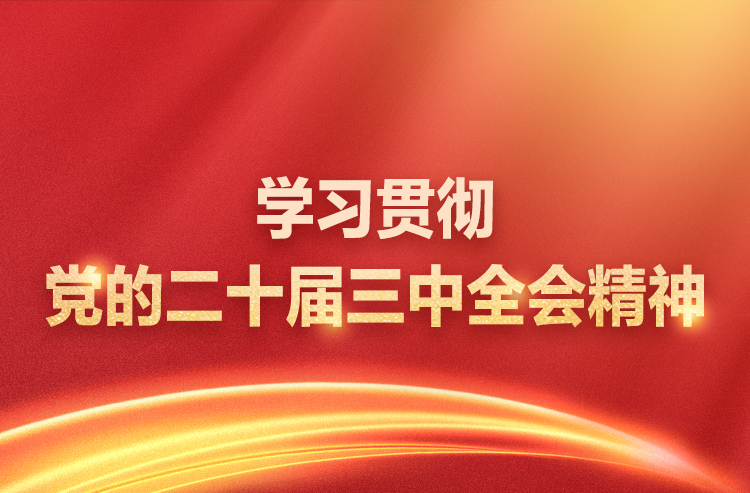 学习贯彻党的二十届三中全会精神