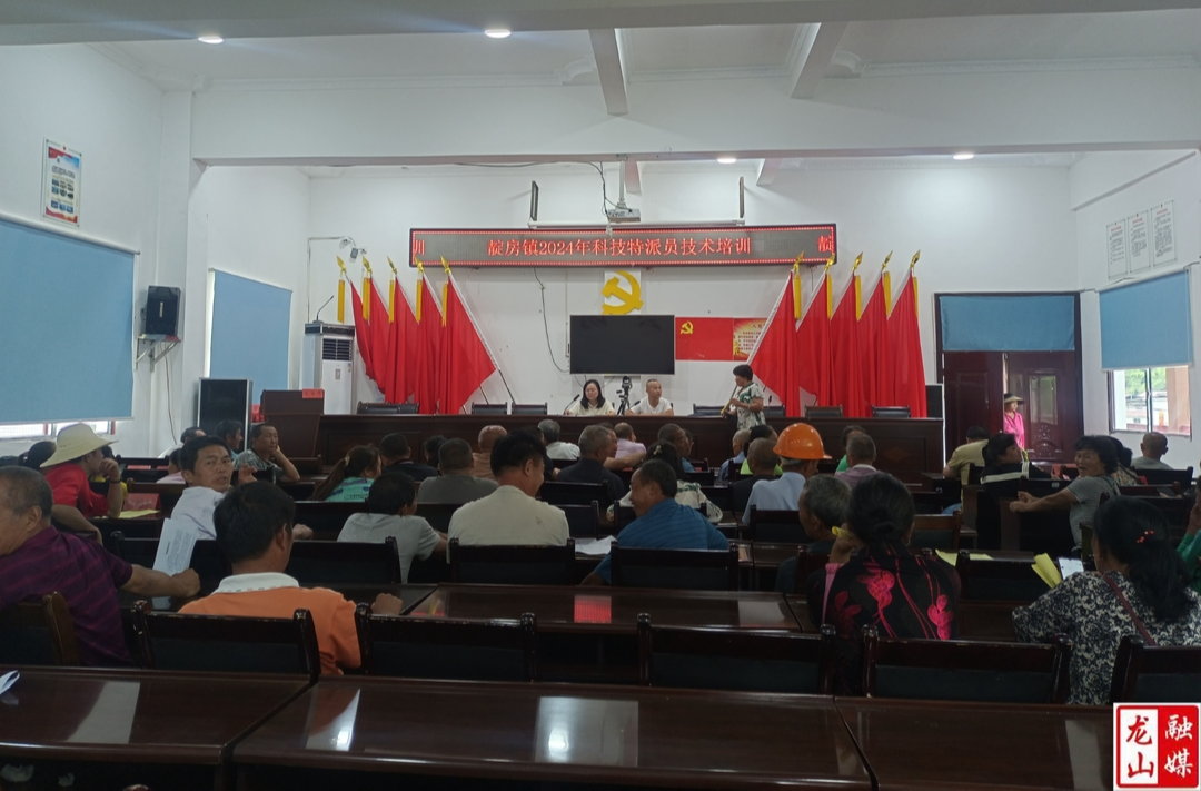 靛房镇全面开展动物“大清洗大消毒”工作