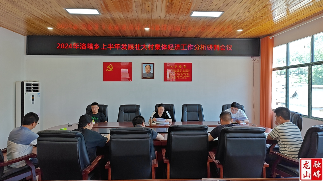 洛塔乡召开上半年发展壮大集体经济工作分析研判会议
