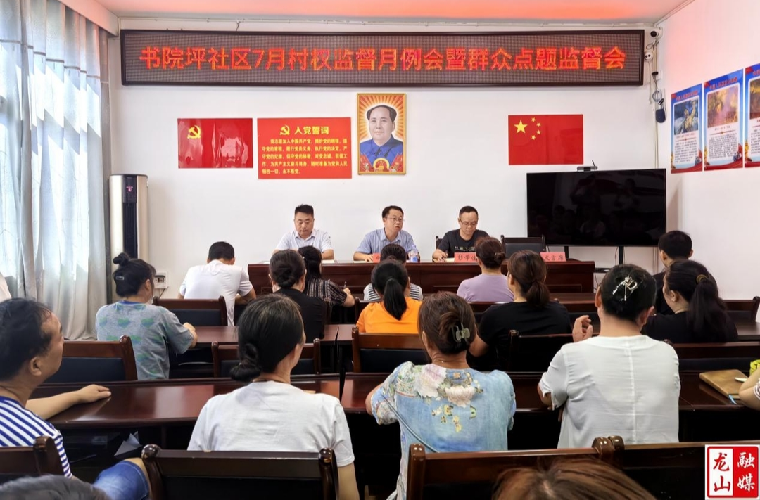 县纪委监委一行到书院坪社区开展7月村权监督月例会