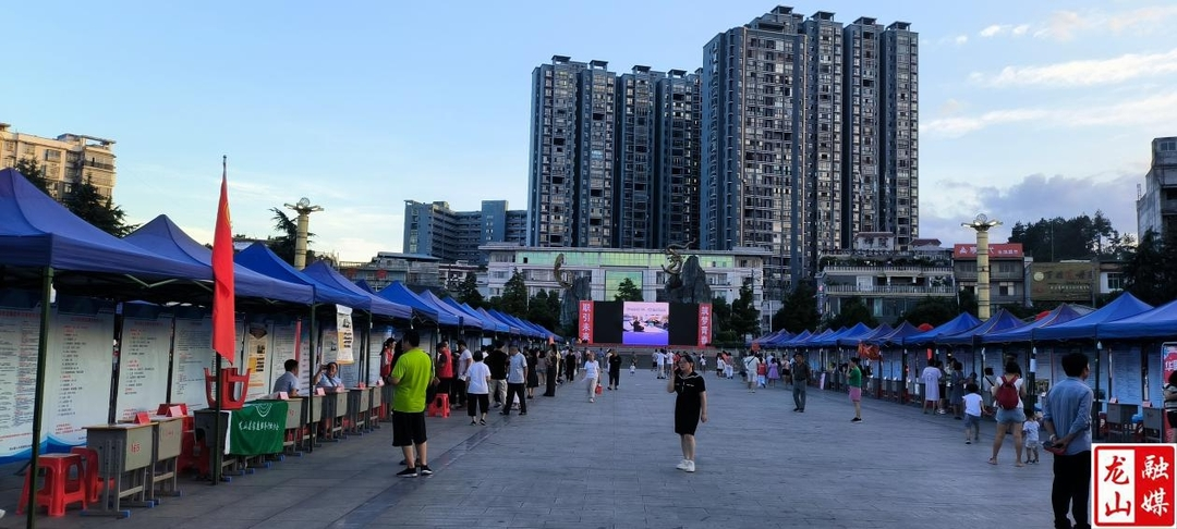 龙山县：筑巢以待金雁回 创业应归桑梓处