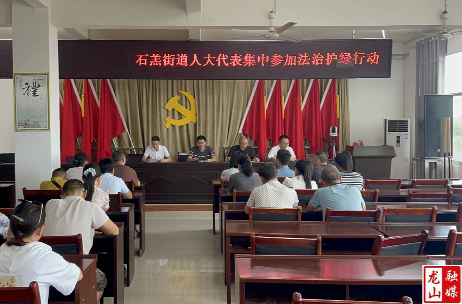 石羔街道举行“法治护绿人大行”启动仪式