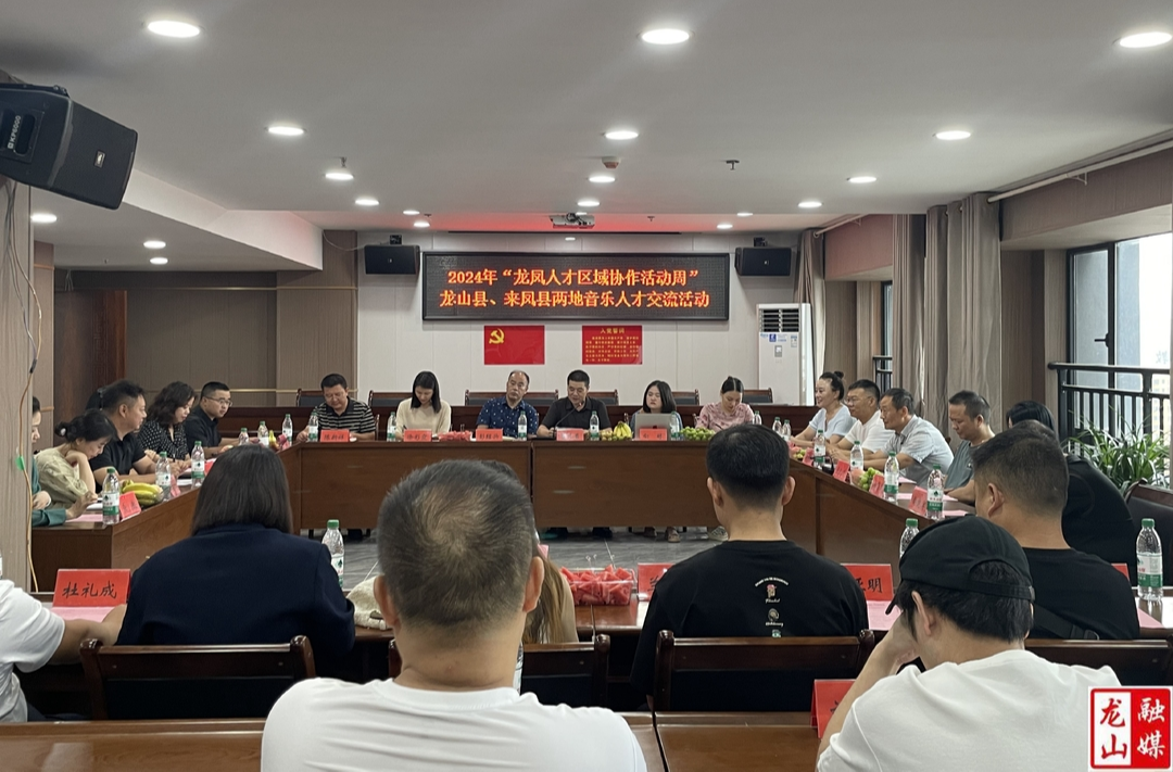 龙山县、来凤县两地音乐人才交流活动顺利举行