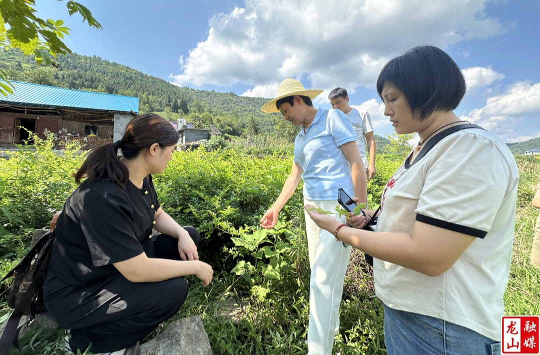 长沙农意兴农产品销售有限公司一行到靛房镇考察交流